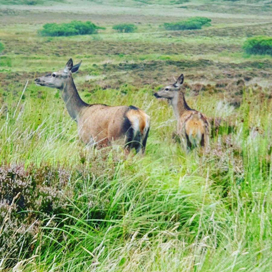 Deer Green Place Kinloch エクステリア 写真